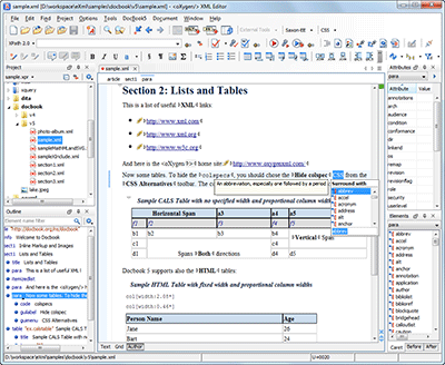 WYSIWYG DocBook editor